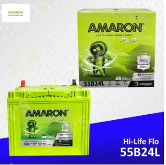 AMARON FLO NS60 55B24LS