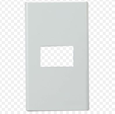 POWERHOUSE LHWDP-101 ELECTRIC 1 GANG PLATE