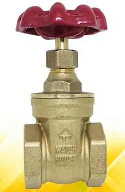 POWERHOUSE WH-BGGV-12 GATE VALVE 1/2
