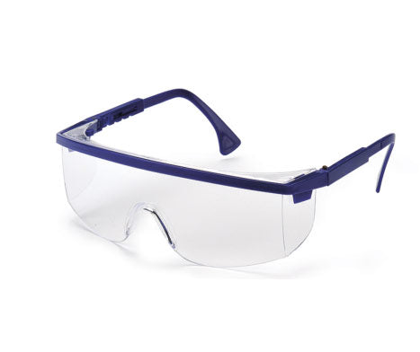 ORDINARY SAFETY GOGGLES