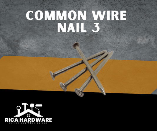 COMMON WIRE NAILS 3