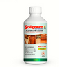 SOLIGNUM WOOD PRESERVATIVE